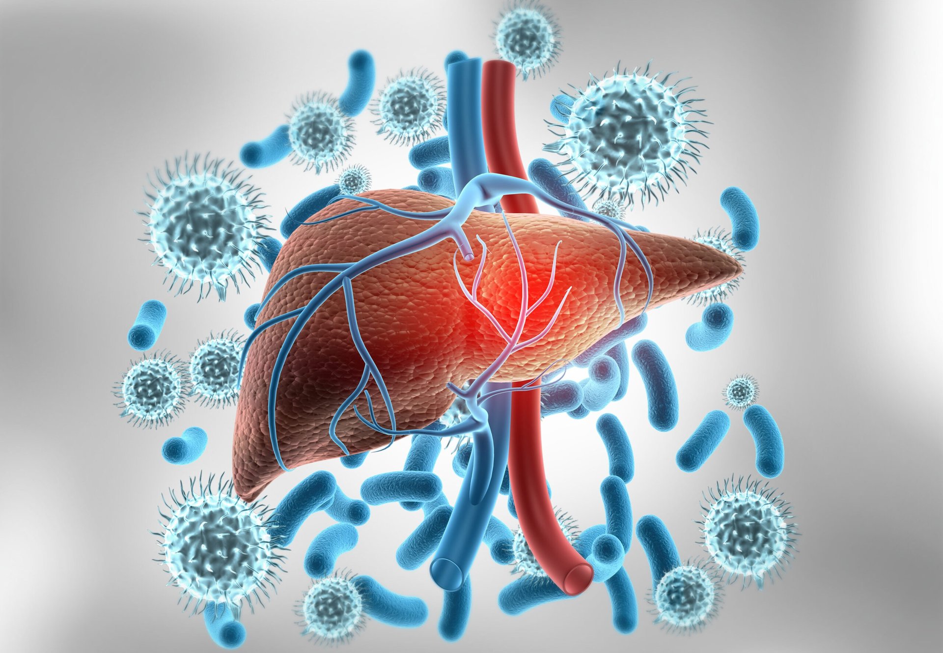 http://Understanding%20Hepatitis%20C%20Virus